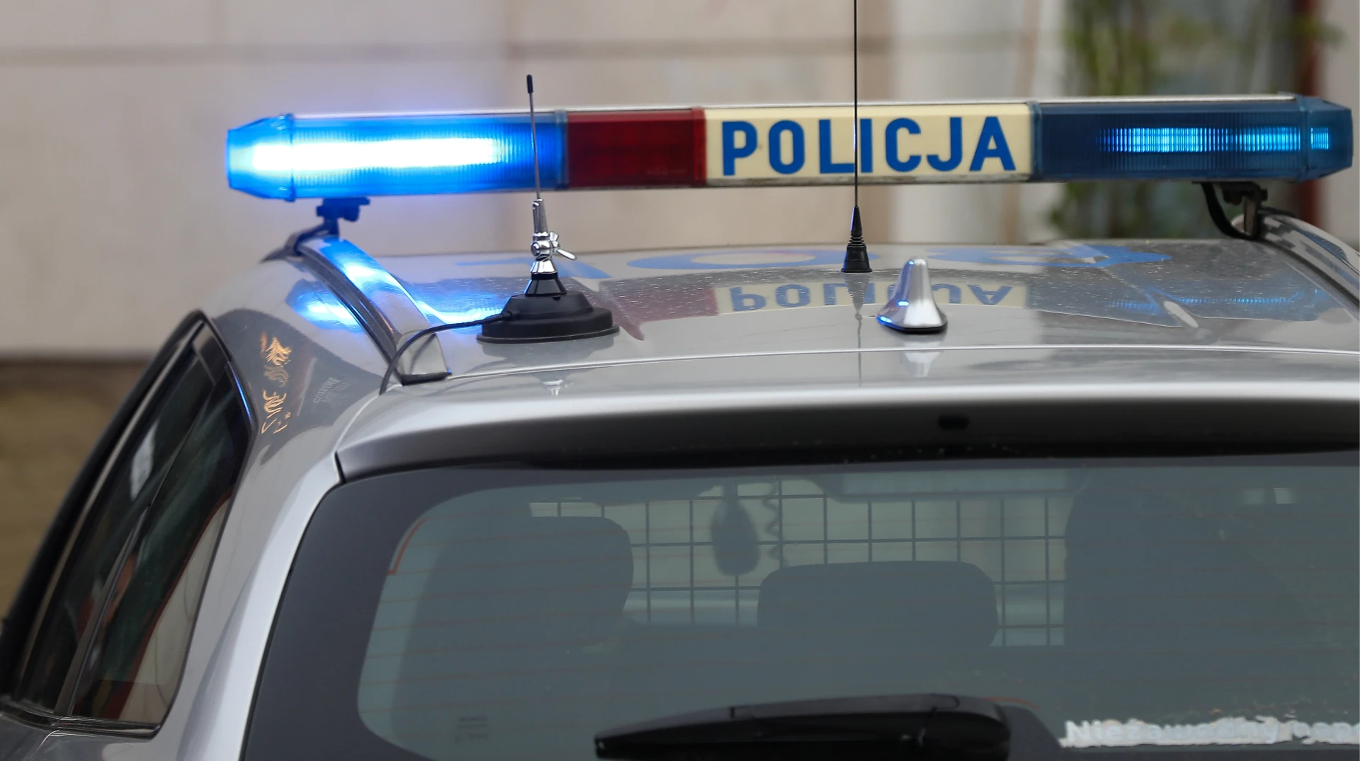 Територія присадибних ділянок на вулиці Модра у Гданську, де стався напад
